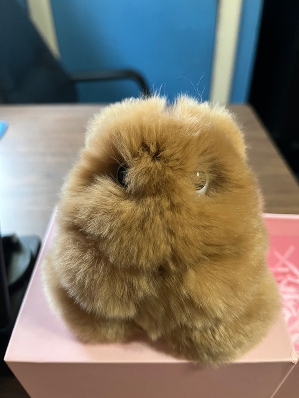 FUFUSOUL bunny - Picture 3 of 3